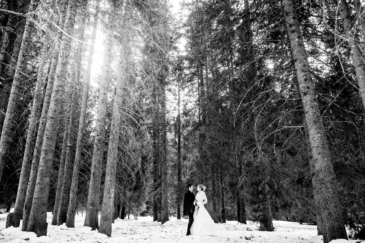 wedding in the mountains on the snow